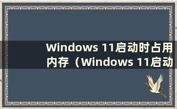 Windows 11启动时占用内存（Windows 11启动速度非常慢）